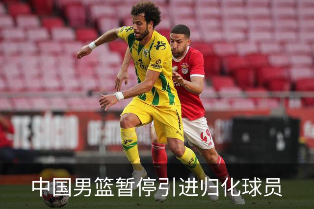 中国男篮暂停引进归化球员